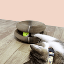 Brinquedo Interativo Para Gatos - So&Pe Store