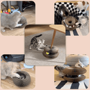 Brinquedo Interativo Para Gatos - So&Pe Store