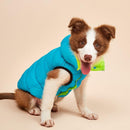Colete Pet Dupla-Face Colorful - So&Pe Store