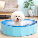 Piscina Resistente Para Pet - So&Pe Store
