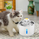 Fonte Elétrica Bebedouro Para Gatos LED 2.4 Litros - So&Pe Store