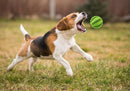 Bola de Petisco Brinquedo Interativo Para Cães - So&Pe Store