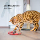 Brinquedo Interativo Inteligente para Gatos - Snake Cat - So&Pe Store
