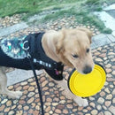 Pote Comedouro/Bebedouro para PET em Silicone 350ml -GoBowl - So&Pe Store